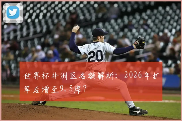 世界杯非洲区名额解析：2026年扩军后增至9.5席？